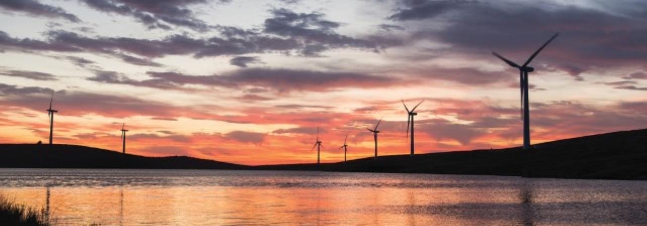 Photo of windmills beside a lake in the evening